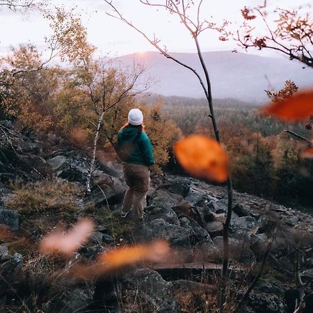 Penzion U Vyhlidky Chřibská エクステリア 写真